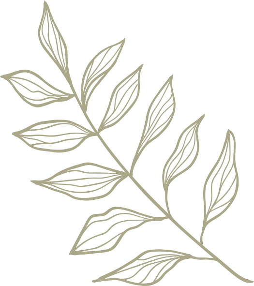 branch