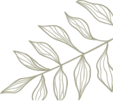 branch